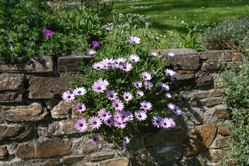 Caudworthy Park